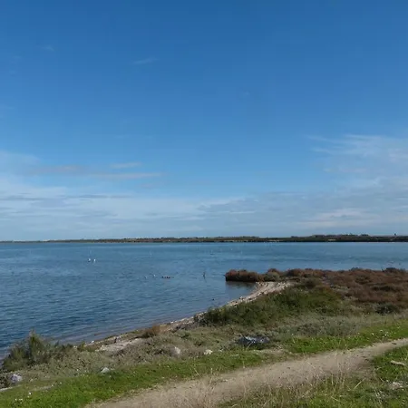 Le Port De Frontignan